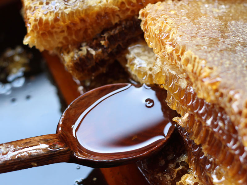 Honig als gesundes Hausmittel