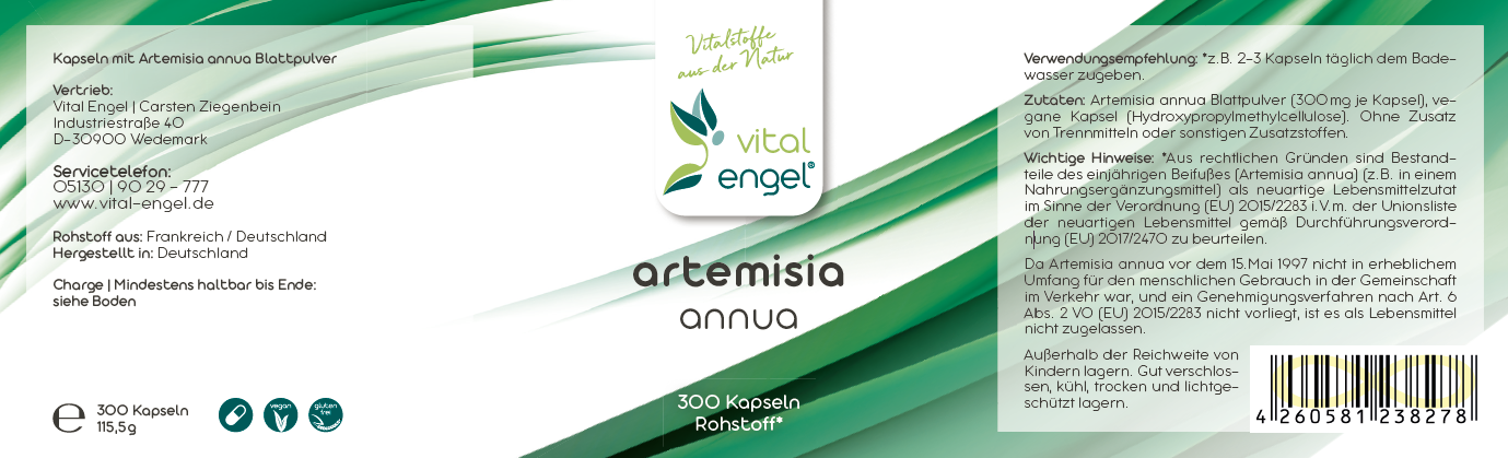Artemisia annua Kapseln (300 Stück in ökol. Verpackung) - Vital Engel
